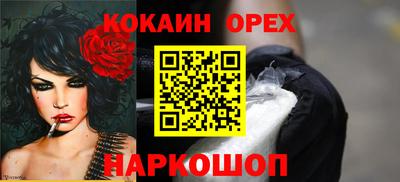 тгк Кингисепп
