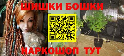 тгк Кингисепп