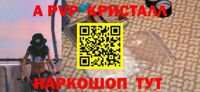 тгк Кингисепп