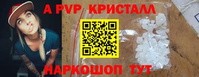 тгк Кингисепп