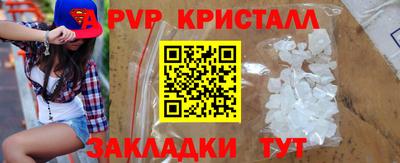 тгк Кингисепп