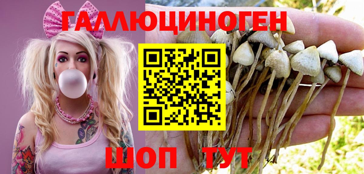 Канабис Коряжма